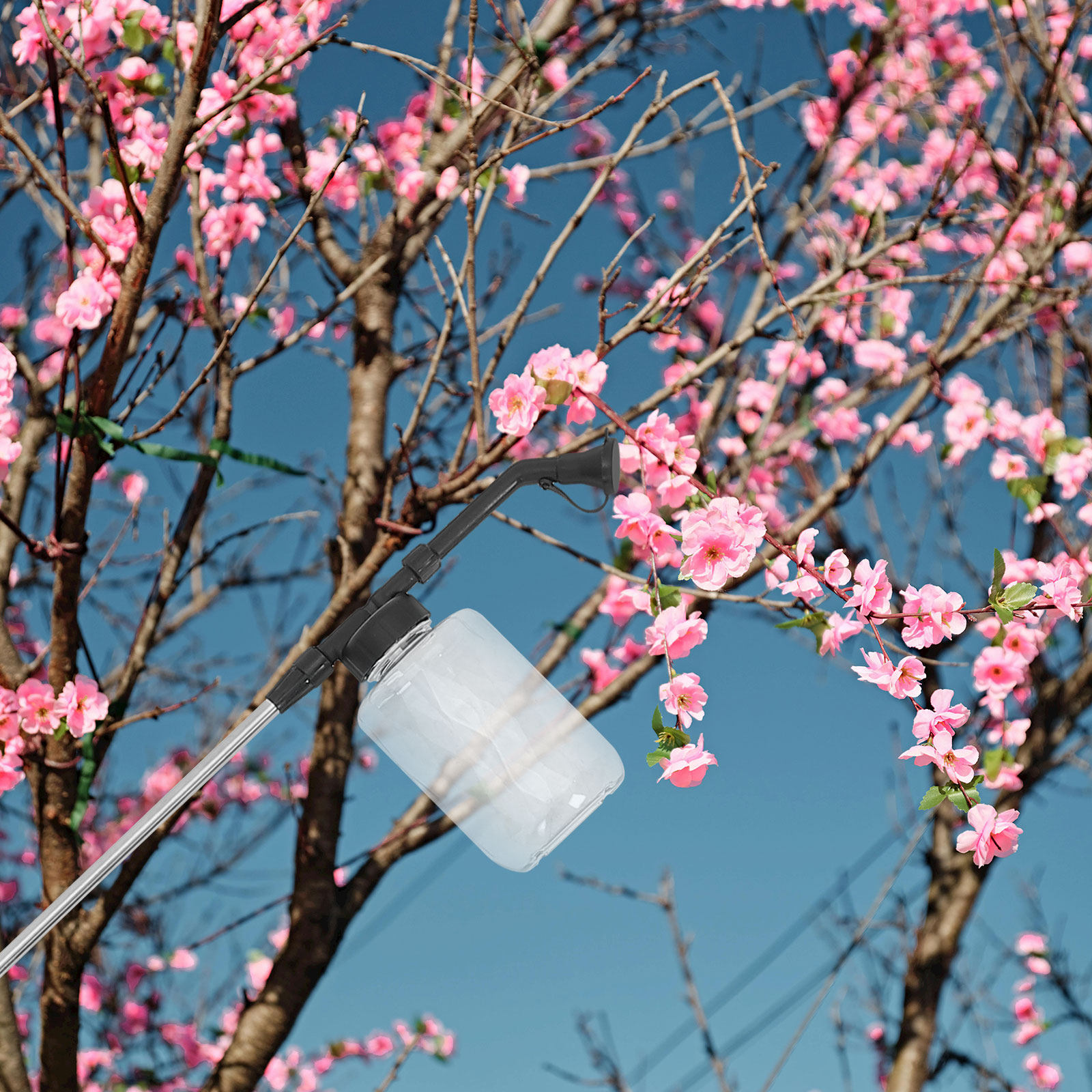 手動授粉スティックハンドヘルド授粉器ツール温室園芸用品野菜花 - Flower Supply のレビューと価格