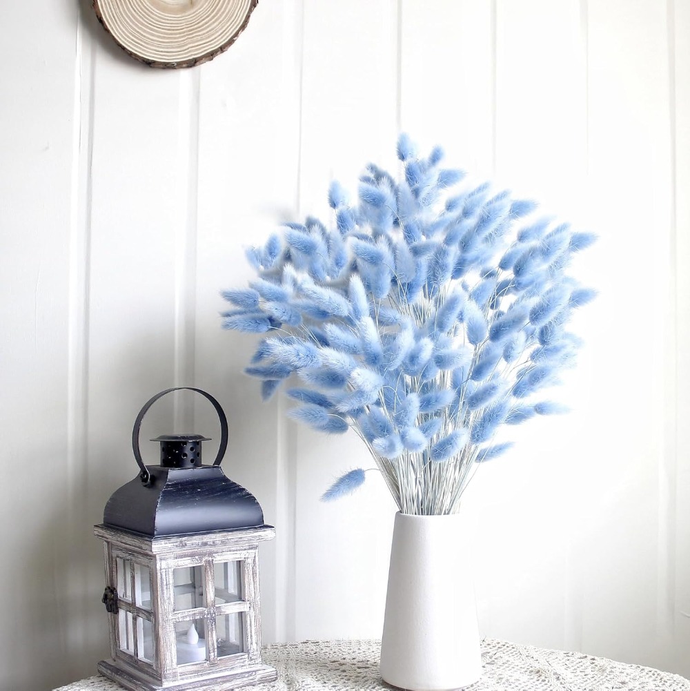 100 個ブルーウサギの尾草バニーウサギの尾ホームルームリビ - Florist Supply Vases のレビューと価格
